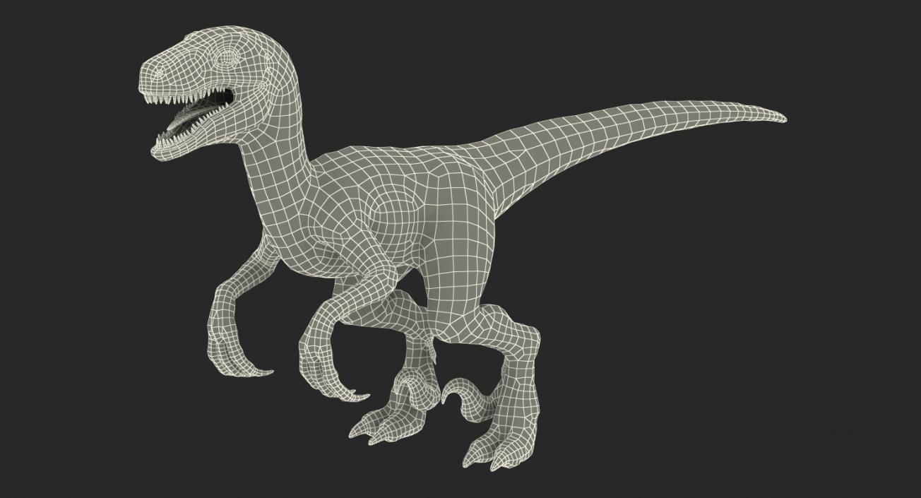 Velociraptor Rigged 3D model