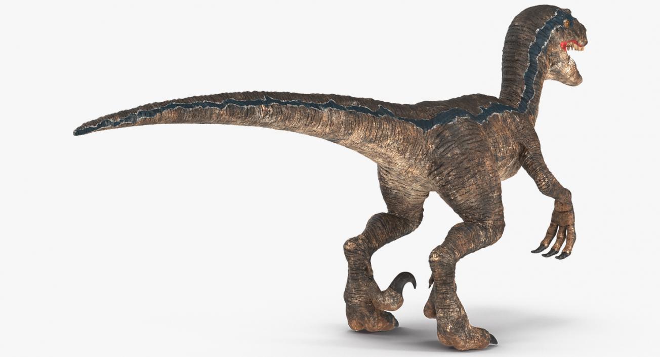 Velociraptor Rigged 3D model