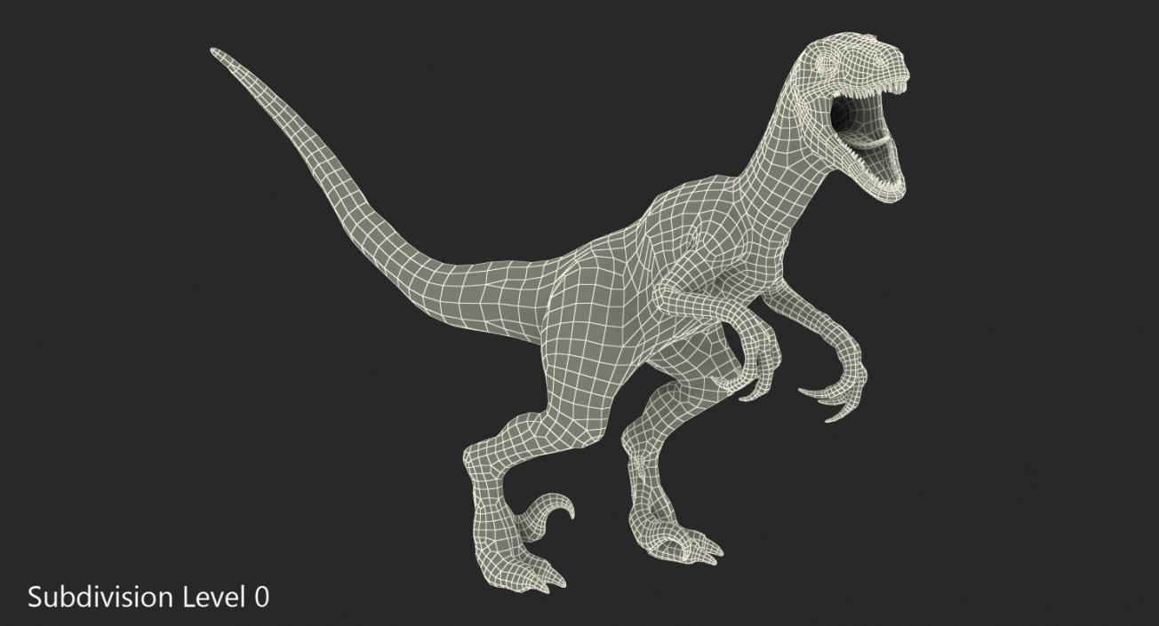 Velociraptor Rigged 3D model