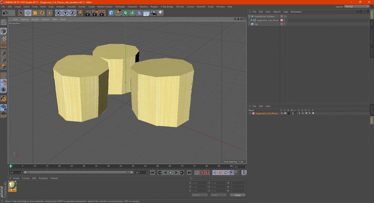 3D model Sugarcane Cut Pieces