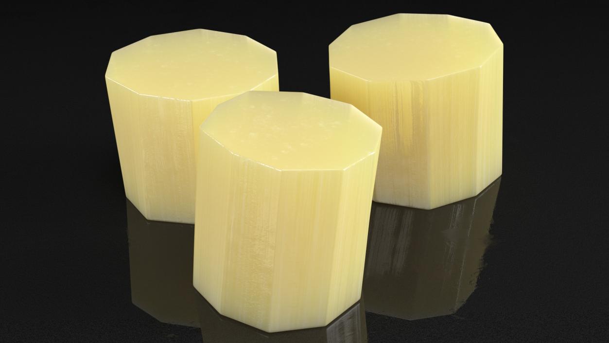 3D model Sugarcane Cut Pieces