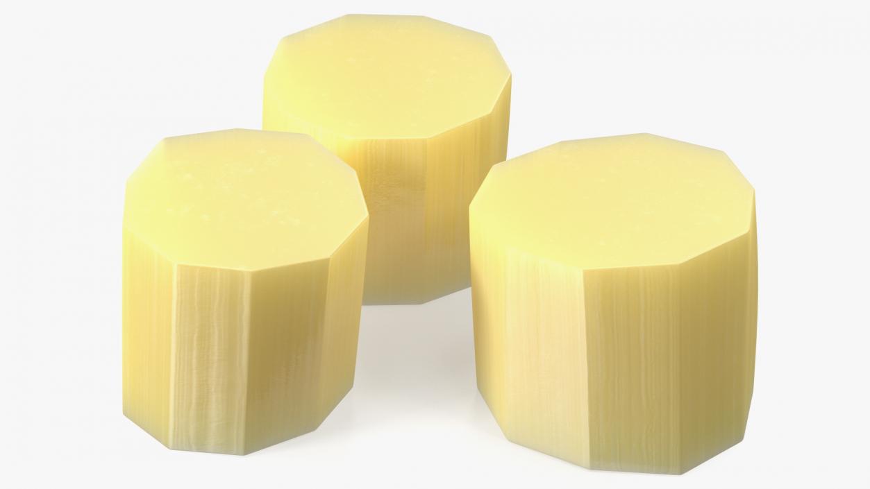 3D model Sugarcane Cut Pieces