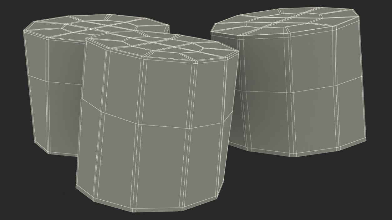 3D model Sugarcane Cut Pieces