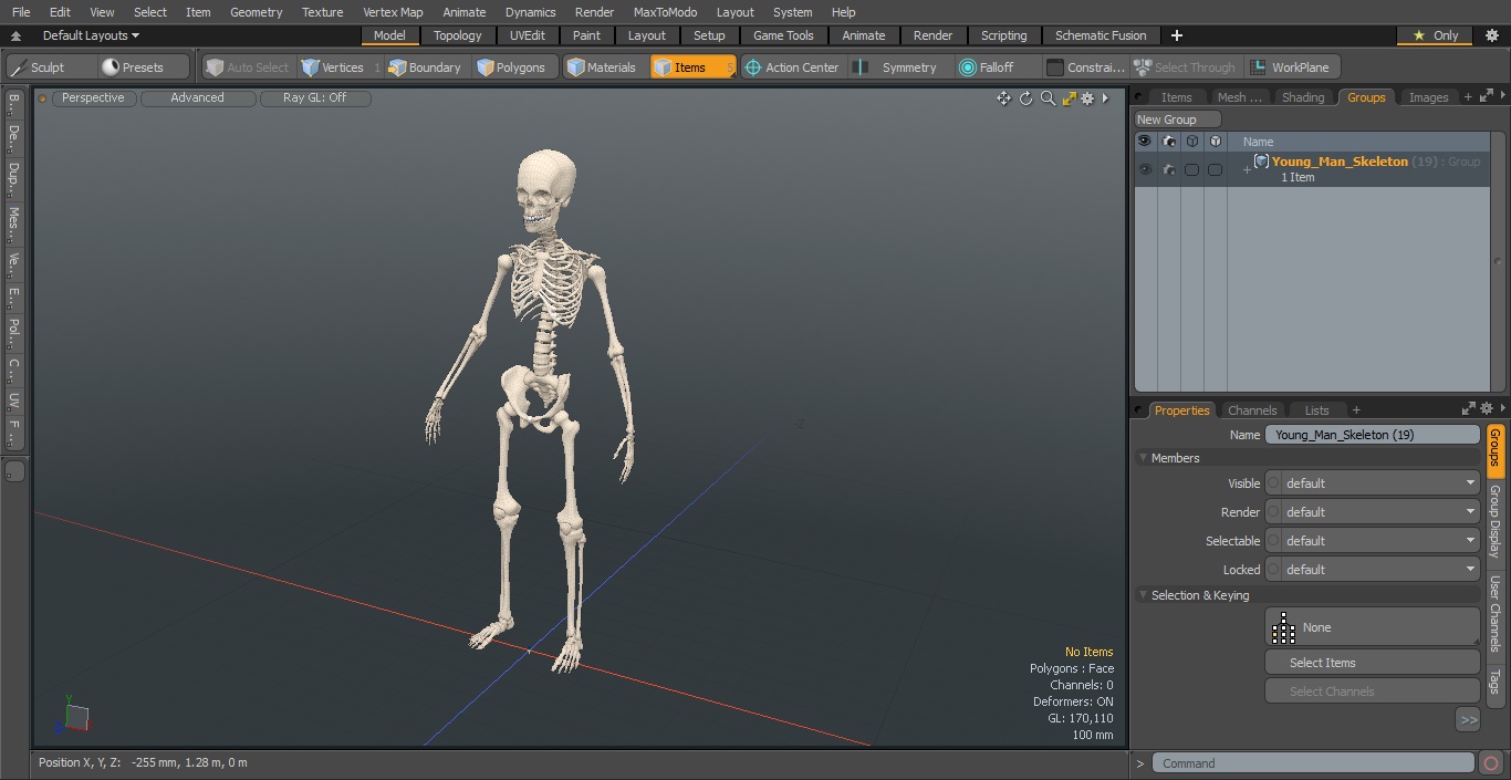 3D Young Man Skeleton model