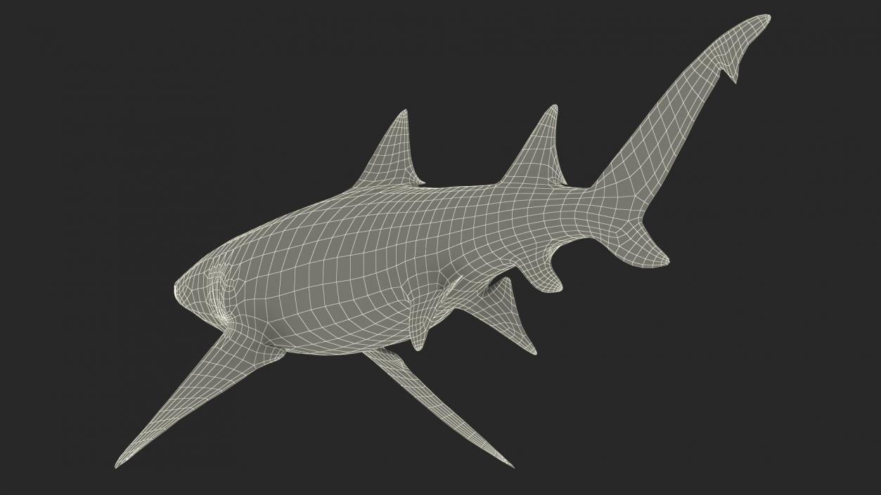 Sharptooth Lemon Shark 3D