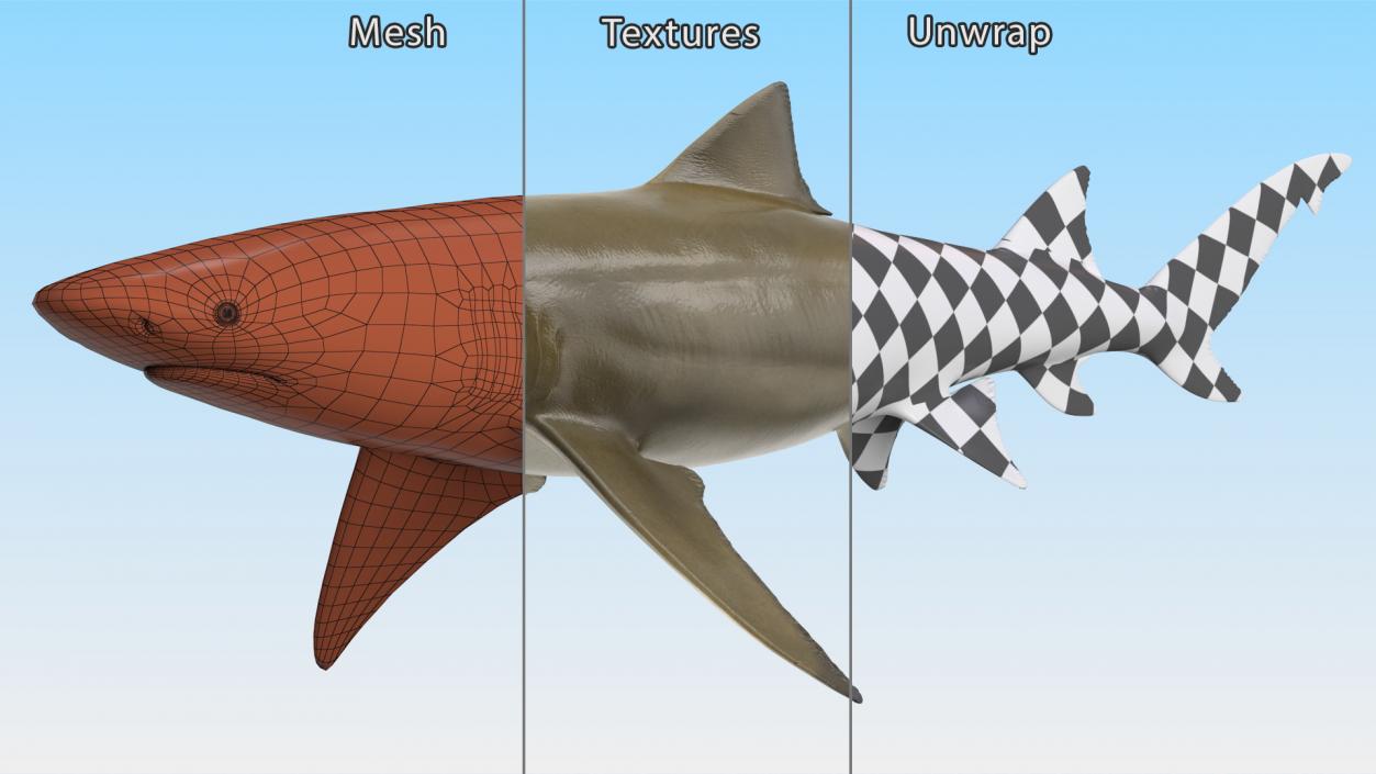 Sharptooth Lemon Shark 3D