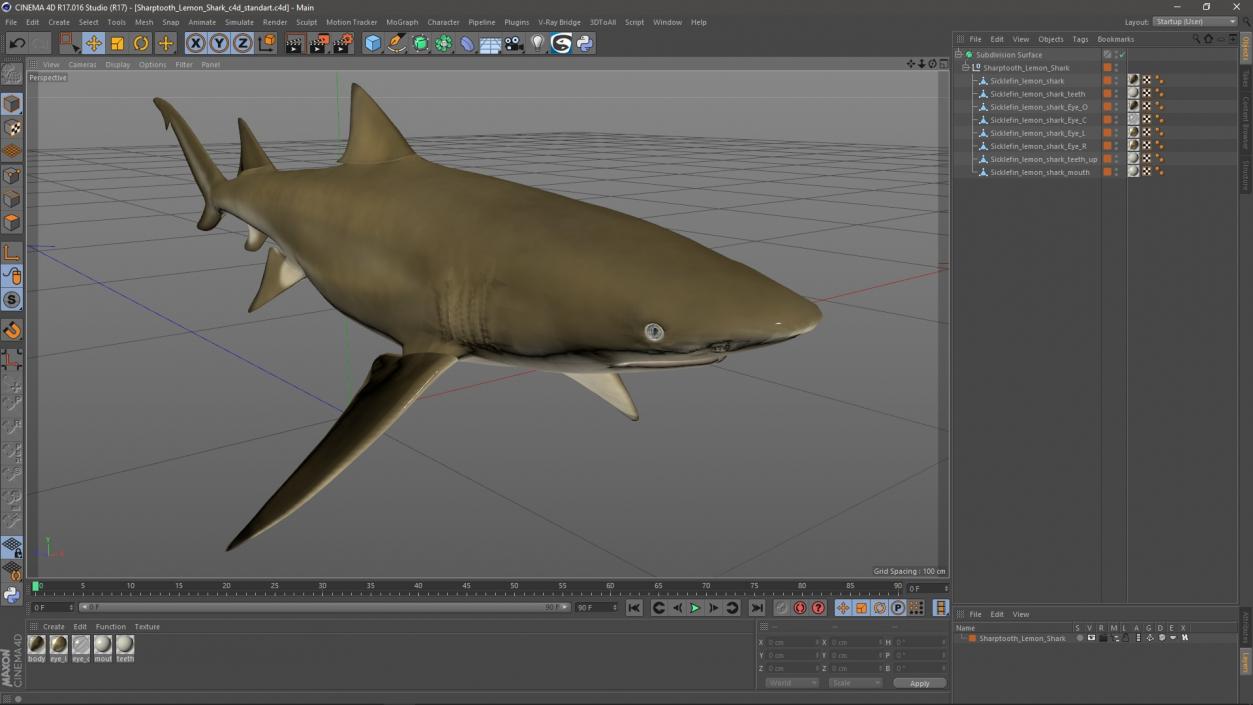 Sharptooth Lemon Shark 3D