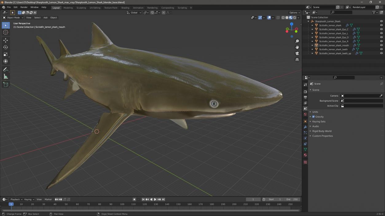 Sharptooth Lemon Shark 3D