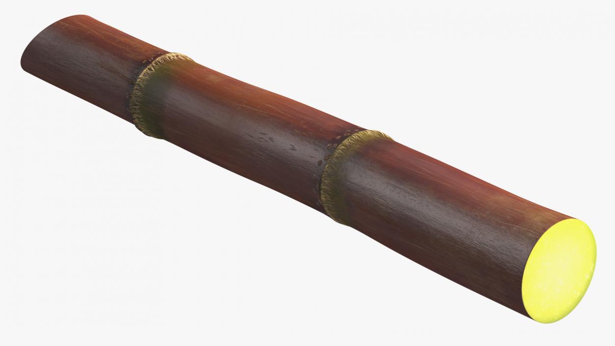 Sugarcane Purple Stick 3D