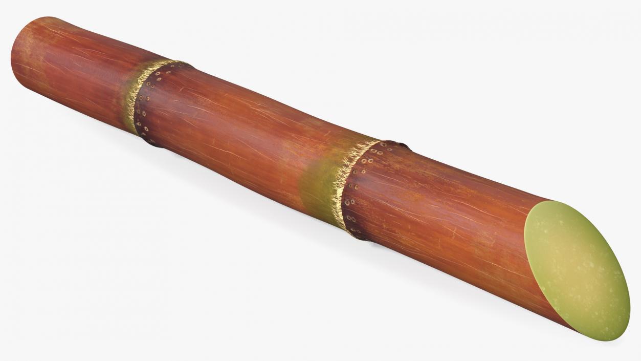 Sugarcane Purple Stick 3D