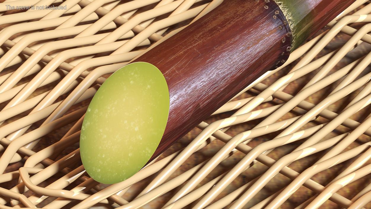 Sugarcane Purple Stick 3D