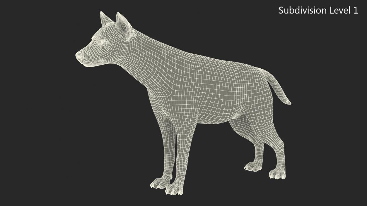 Hyena Neutral Pose Fur 3D