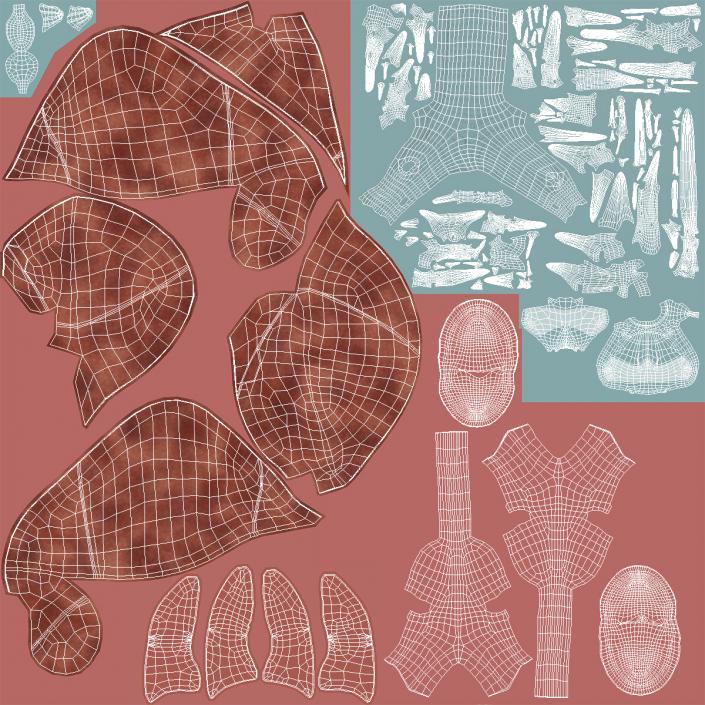 3D Human Respiratory System Anatomical Model