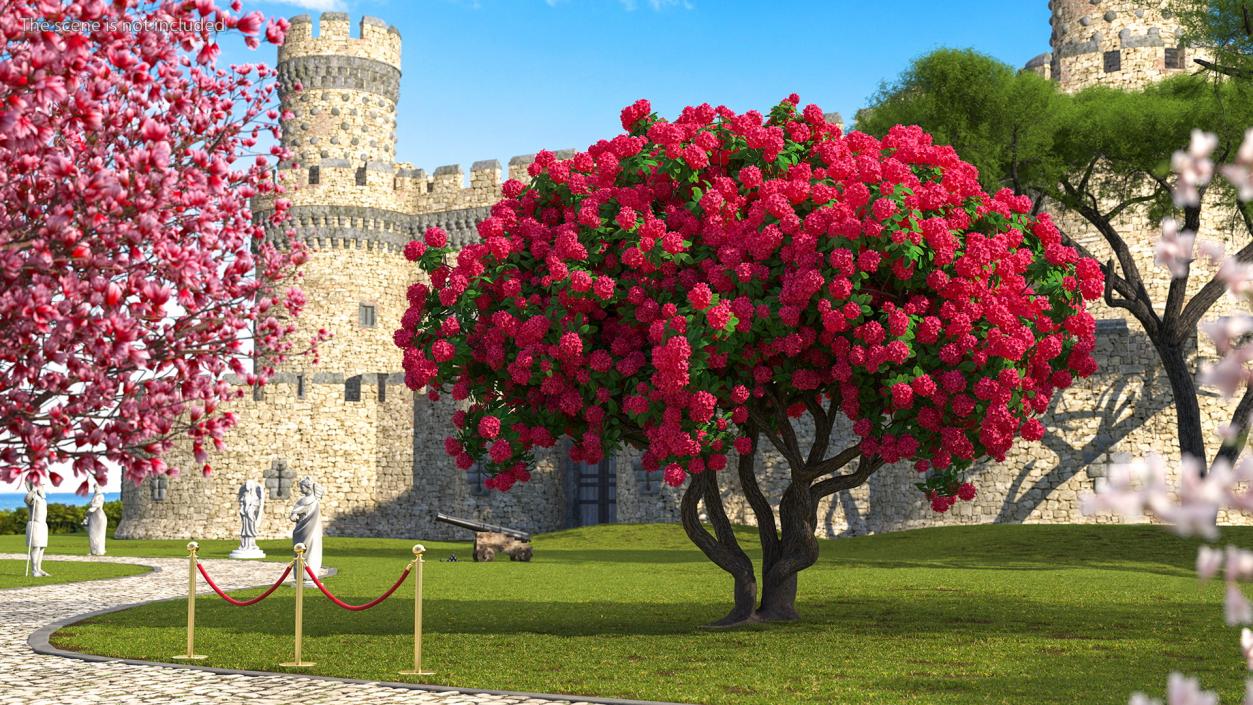 3D Rhododendron Red Tree