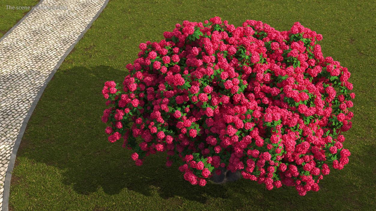 3D Rhododendron Red Tree