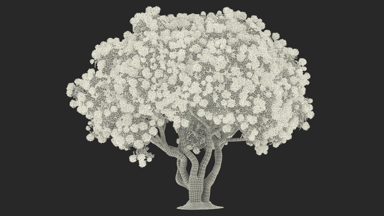 3D Rhododendron Red Tree