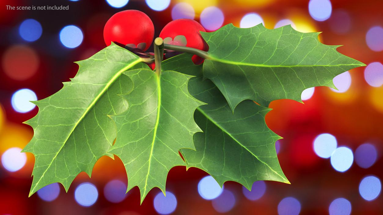 Isolated Holly Berry With Leaves 3D