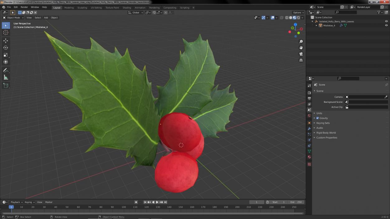 Isolated Holly Berry With Leaves 3D