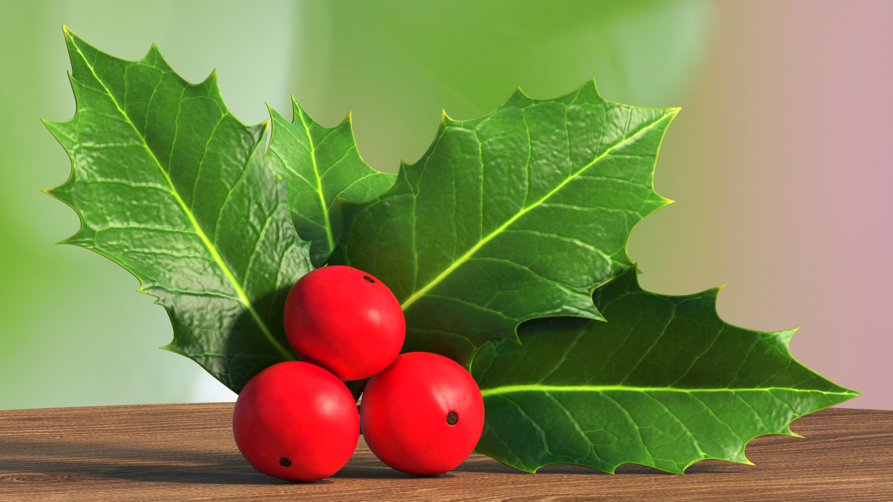 Isolated Holly Berry With Leaves 3D