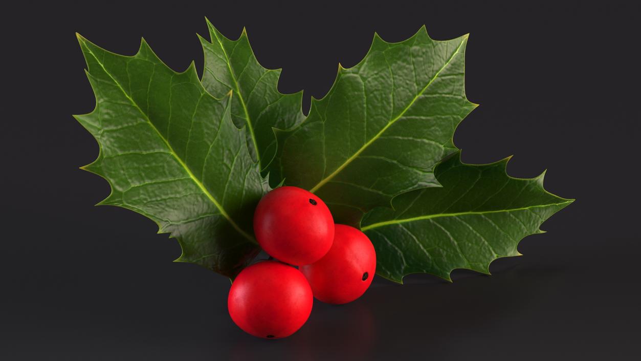 Isolated Holly Berry With Leaves 3D