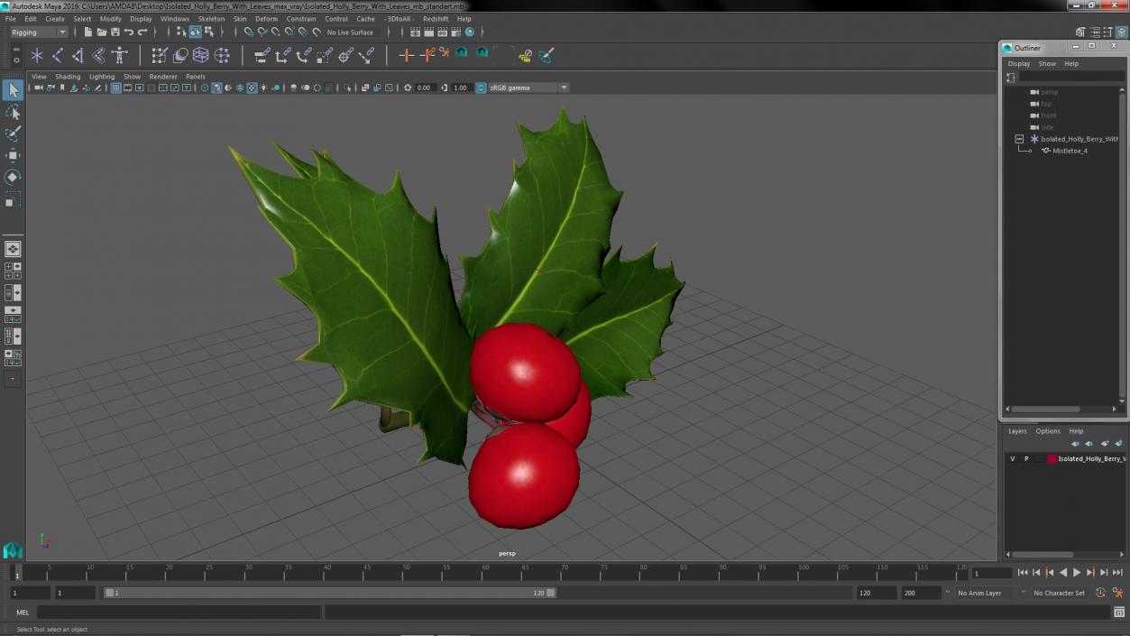 Isolated Holly Berry With Leaves 3D