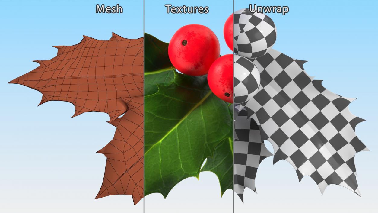 Isolated Holly Berry With Leaves 3D