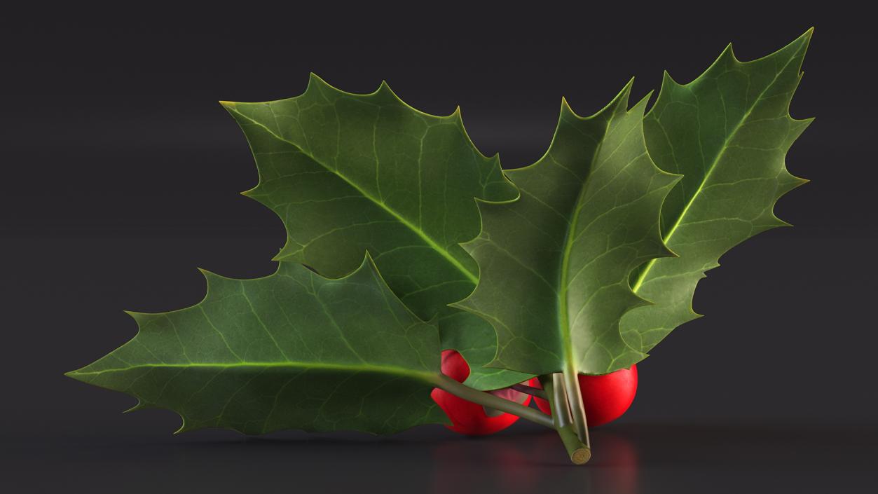 Isolated Holly Berry With Leaves 3D