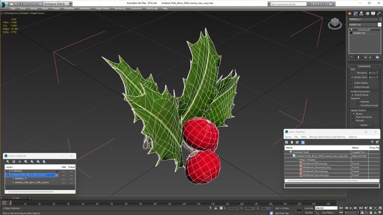 Isolated Holly Berry With Leaves 3D