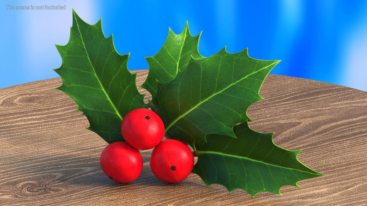 Isolated Holly Berry With Leaves 3D