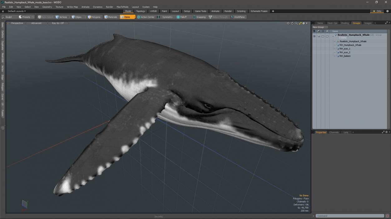 Realistic Humpback Whale 3D model