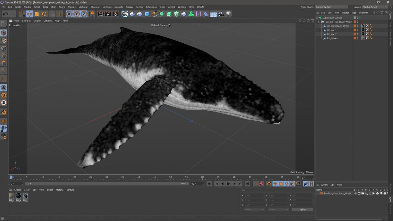 Realistic Humpback Whale 3D model