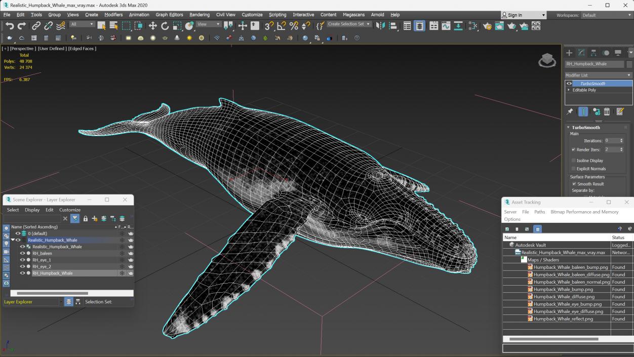 Realistic Humpback Whale 3D model