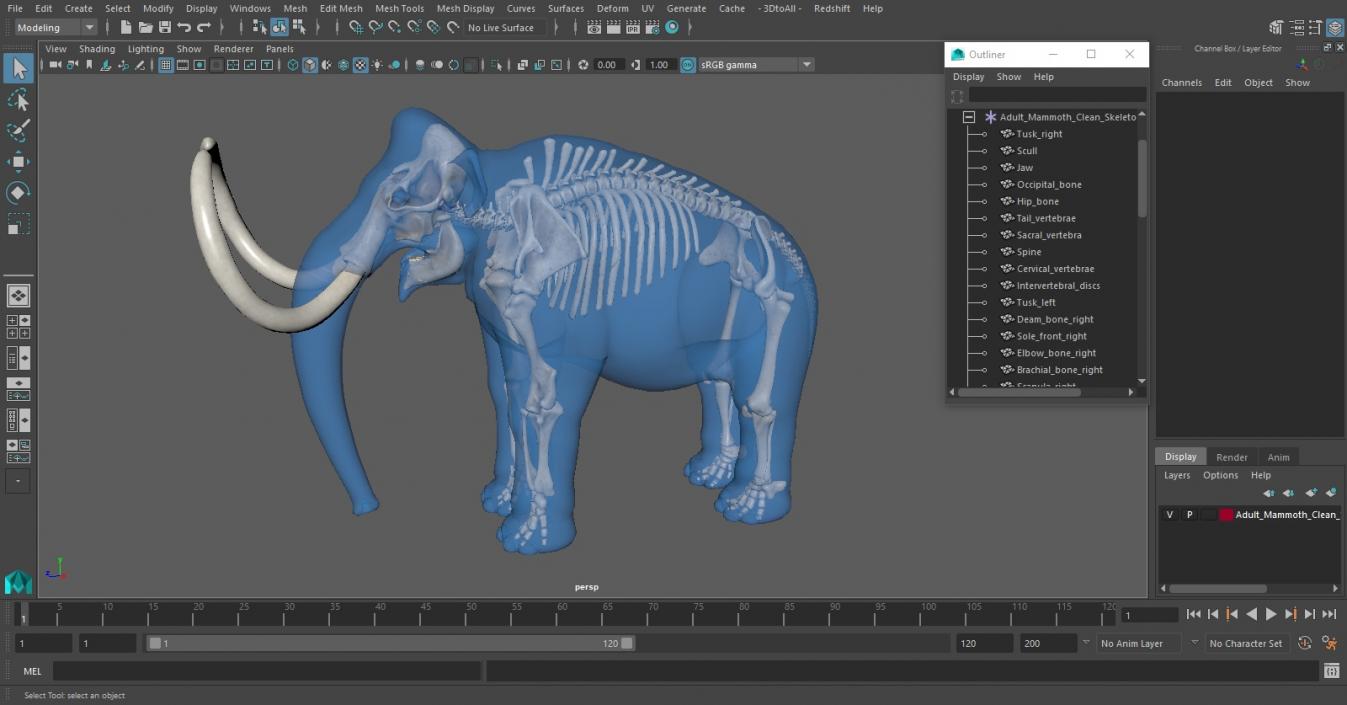 Adult Mammoth Clean Skeleton Shell 3D model