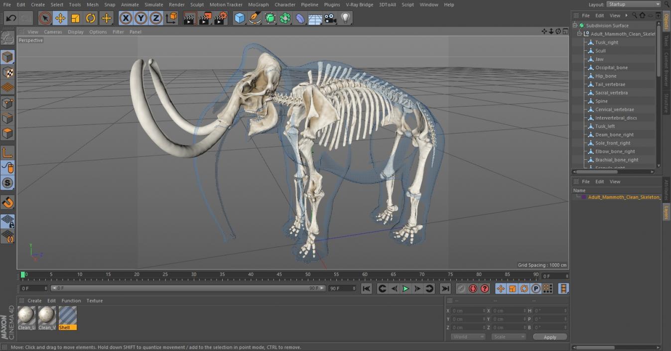 Adult Mammoth Clean Skeleton Shell 3D model