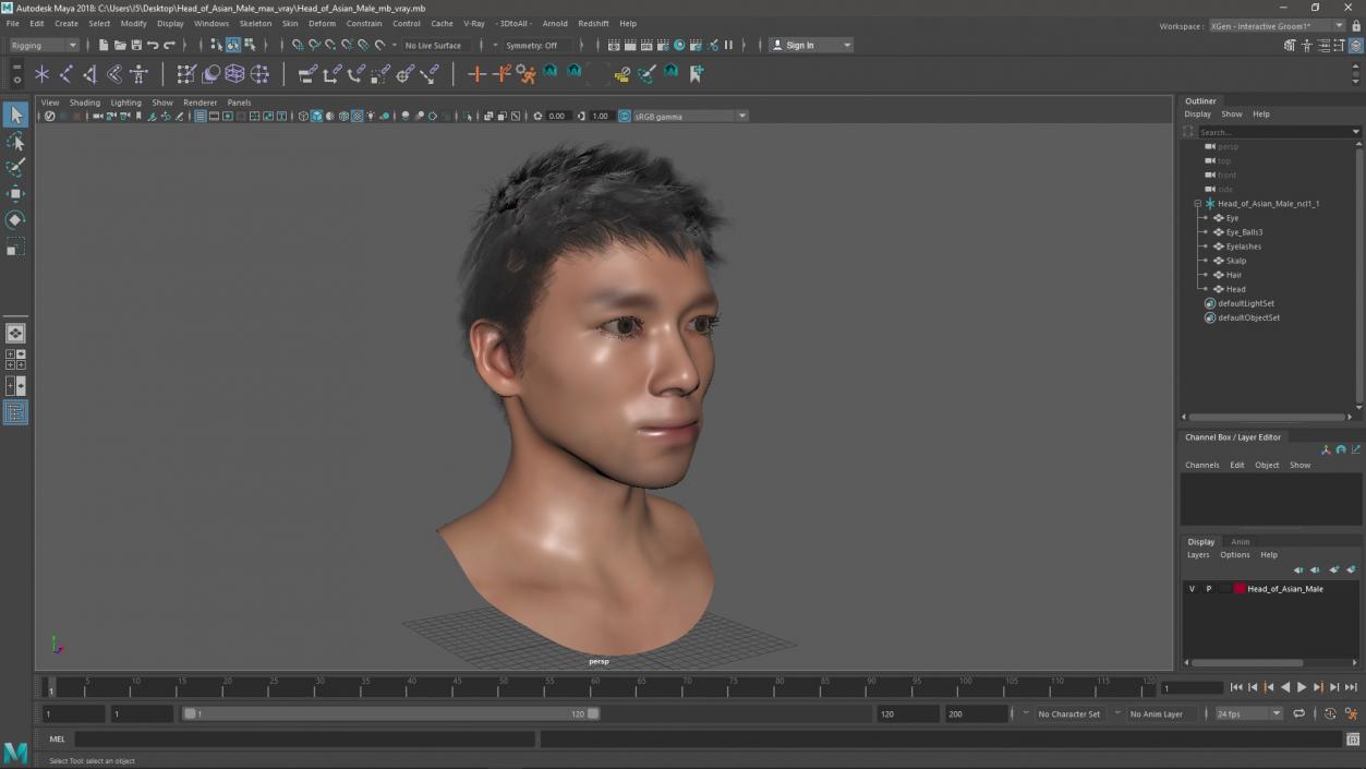 3D Head of Asian Male model