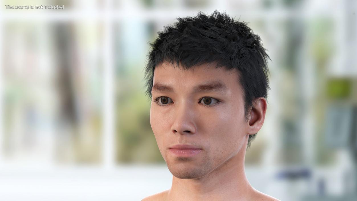 3D Head of Asian Male model