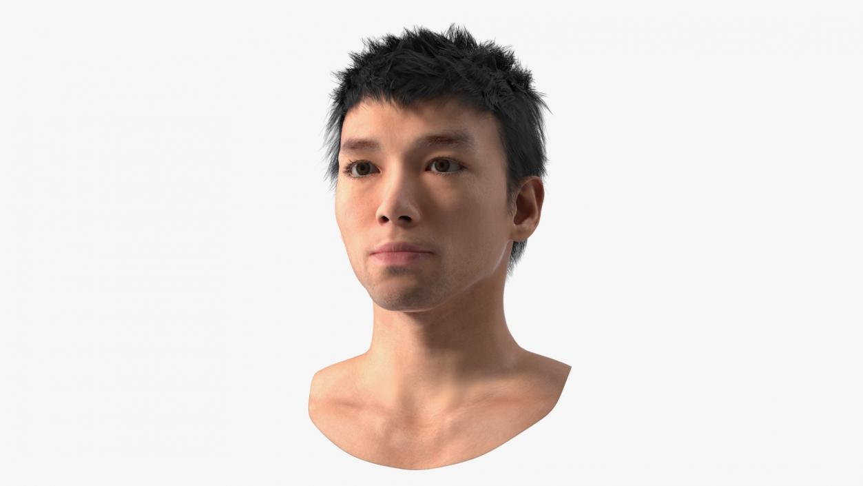 3D Head of Asian Male model