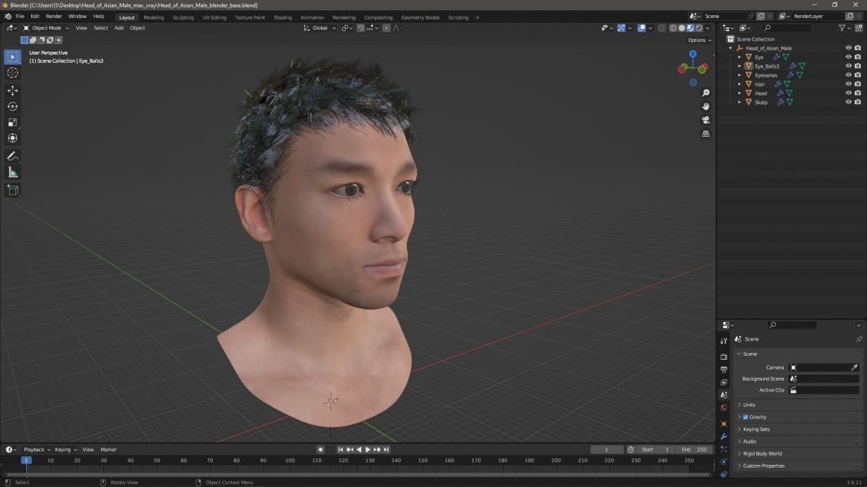 3D Head of Asian Male model