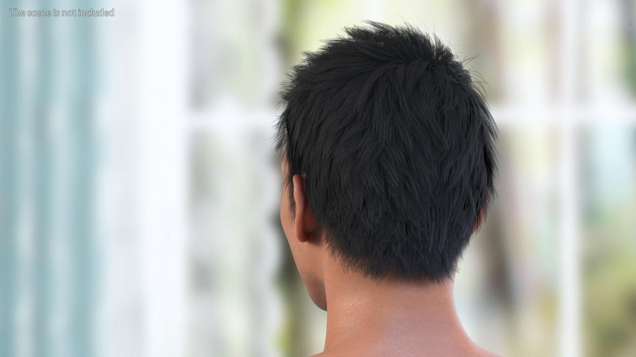 3D Head of Asian Male model