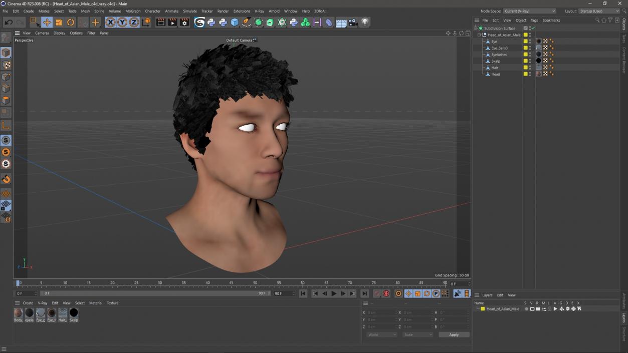 3D Head of Asian Male model