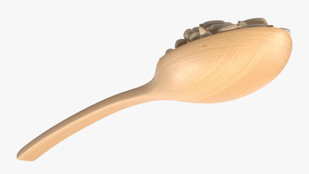 3D model Wooden Spoon with Peeled Sunflower Seeds