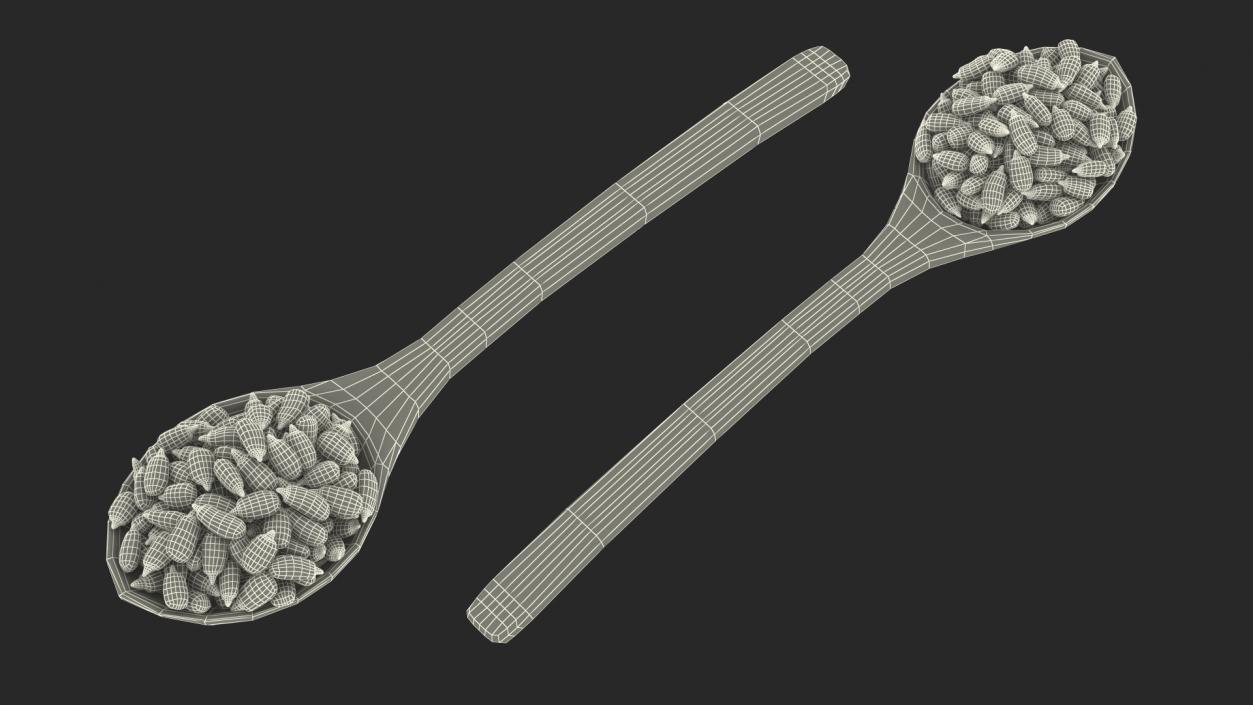 3D model Wooden Spoon with Peeled Sunflower Seeds