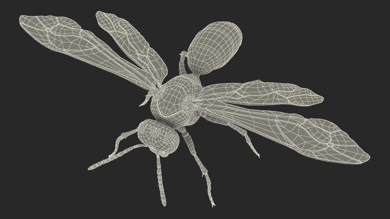 3D model Vespid Wasp Fur