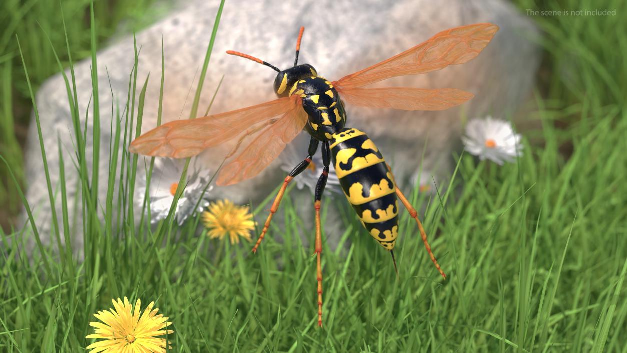 3D model Vespid Wasp Fur