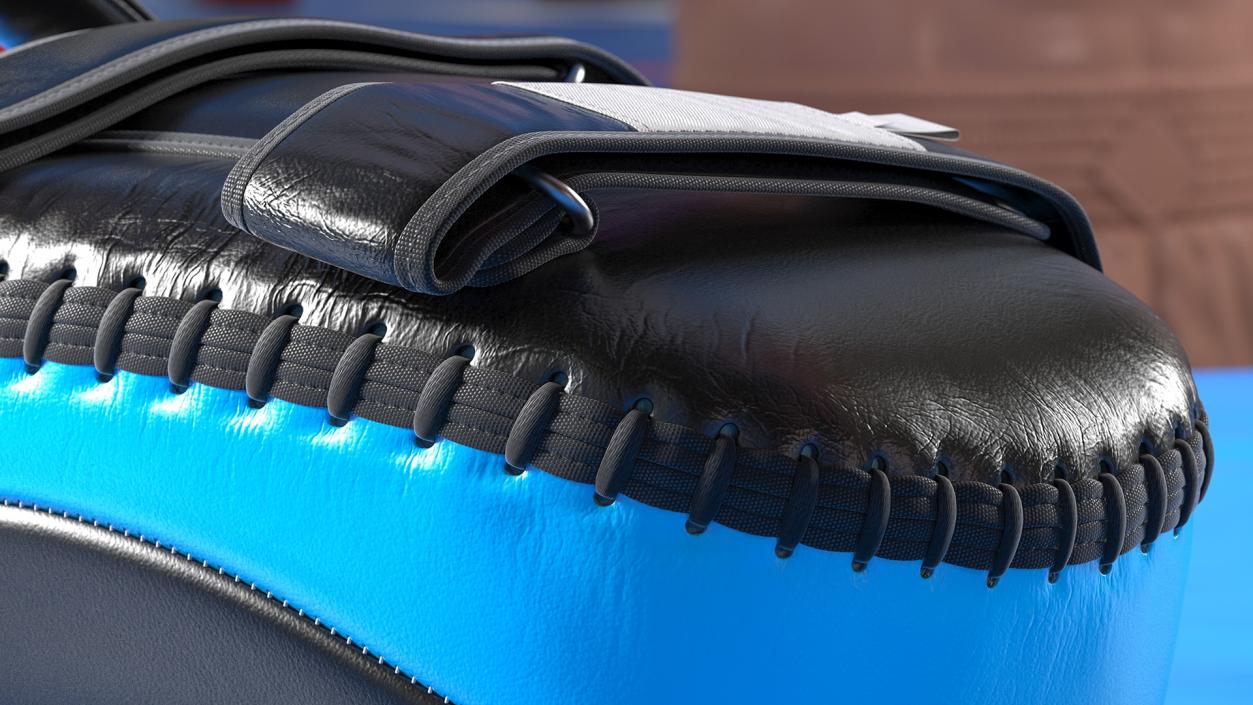 Curved Leather Arm Pad 3D