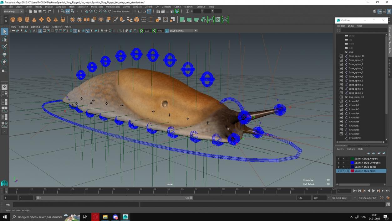 3D Spanish Slug Rigged for Maya model