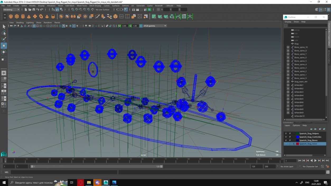 3D Spanish Slug Rigged for Maya model