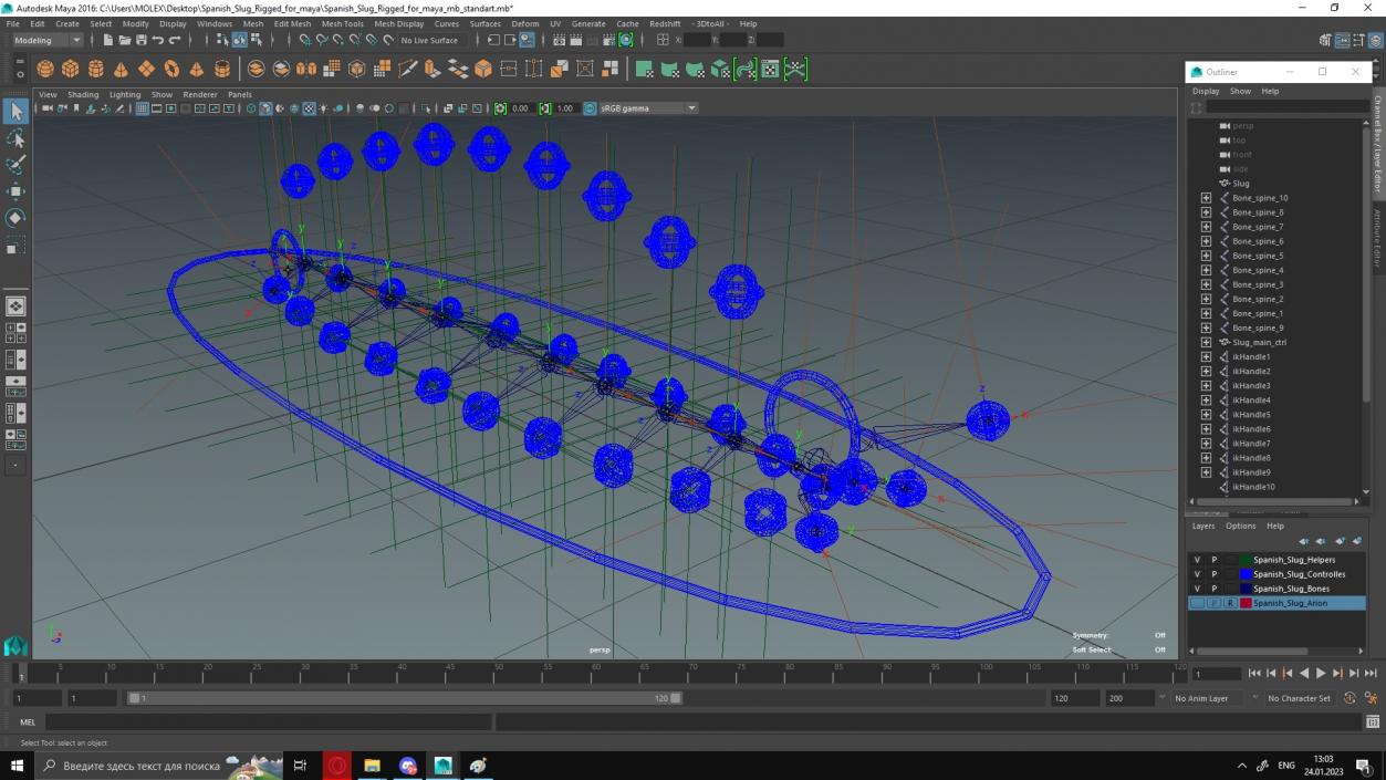 3D Spanish Slug Rigged for Maya model