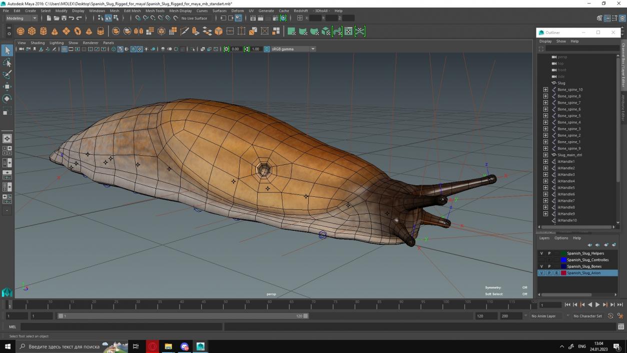 3D Spanish Slug Rigged for Maya model