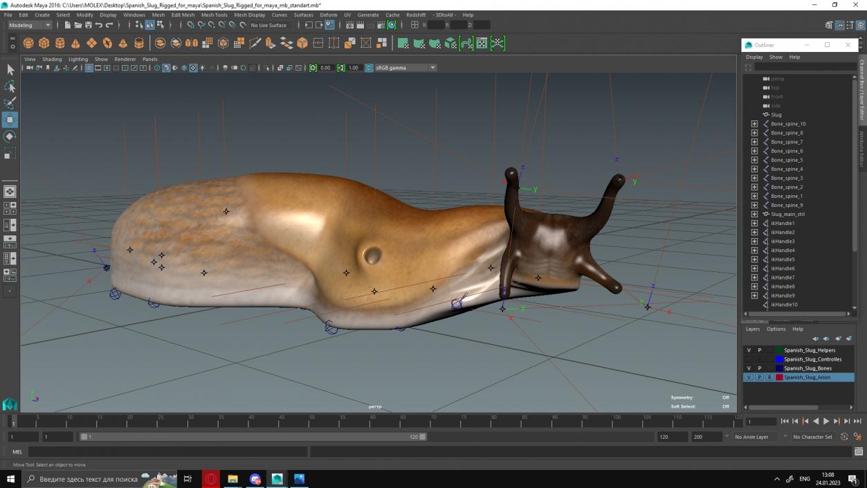 3D Spanish Slug Rigged for Maya model